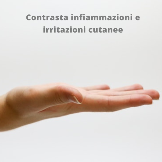 olio essenziale di Palo Santo